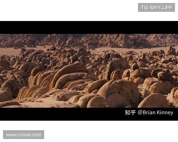 春假惊魂：当碧海蓝天下的温柔变幻成致命的暗影