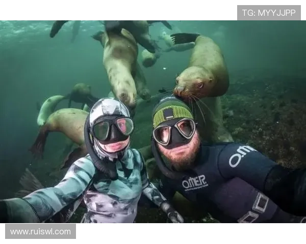 《动物总动员3》：不止是萌宠，更是奇幻世界的英雄集结！